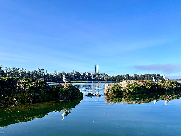 Scientists Present Conflicting Views on Moss Landing Battery Fire Impacts