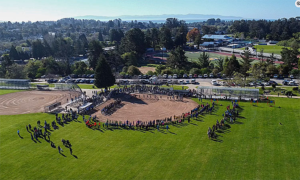 Batting Cages Times Publishing Group Inc tpgonlinedaily.com