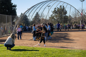 Batting Cages Times Publishing Group Inc tpgonlinedaily.com
