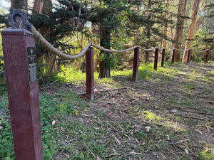 Eagle Scouts Times Publishing Group Inc tpgonlinedaily.com