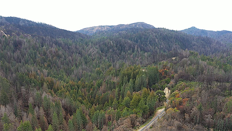 California State Parks Acquires 153 Acres to Expand Big Basin Redwoods State Park