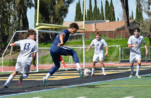 CCS Soccer Times Publishing Group Inc tpgonlinedaily.com