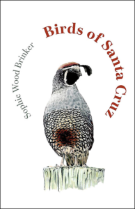Bird Guide Times Publishing Group Inc tpgonlinedaily.com 