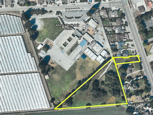 Surplus Properties Times Publishing Group Inc tpgonlinedaily.com