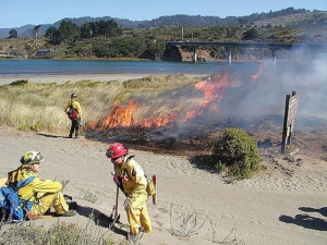 Fire Safety Times Publishing Group Inc tpgonlinedaily.com