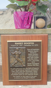 Harry Hooper Times Publishing Group Inc tpgonlinedaily.com