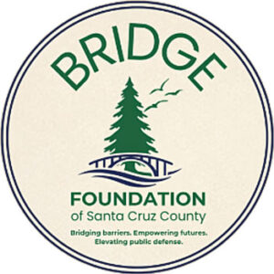 BRIDGE Times Publishing Group Inc tpgonlinedaily.com